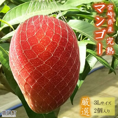 【先行予約】宮崎県産 完熟 マンゴー 3L(2玉)