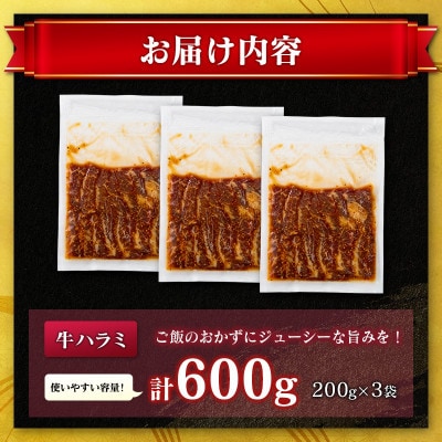 牛 ハラミ 600g(200g×3袋)醤油だれ (高鍋町)