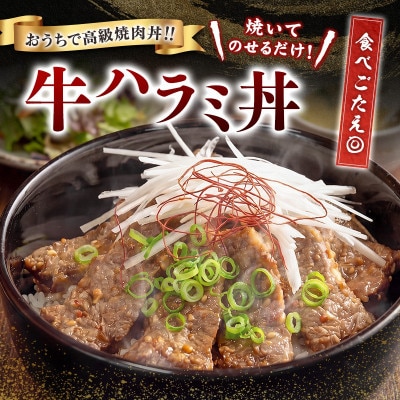 牛 ハラミ 1kg(200g×5袋)醤油だれ (高鍋町)