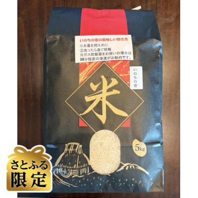 【さとふる限定】令和8年産 いのちの壱 5kg(精米)(宮崎県産米)【新米】