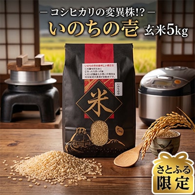 【さとふる限定】令和8年産 いのちの壱 5kg(玄米)(宮崎県産米)【新米】