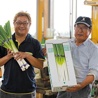 【8月～翌2月限定出荷】白神山地の麓で育った 白神ねぎ 産地直送[No.5335-0193]