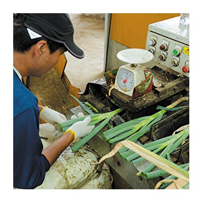 能代名産 白神ねぎ100%使用 白神ねぎラー油 180g×15個[No.5335-0191]