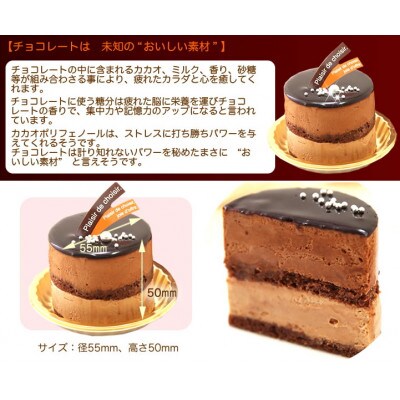 リッチな味わい チョコレートケーキ とろける生ショコラ 北海道 新ひだか町のオリジナルケーキ お礼品詳細 ふるさと納税なら さとふる