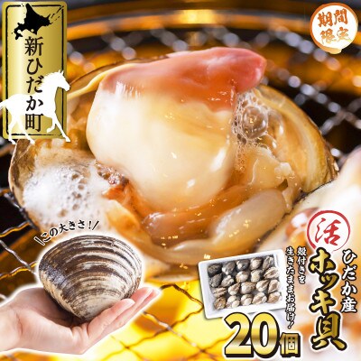 ひだか産 活ホッキ貝 個 お礼品詳細 ふるさと納税なら さとふる