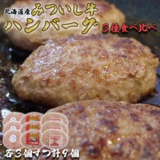 北海道産 みついし牛 ハンバーグ 3種 計 900g ( 100g × 各 3個 ) セット