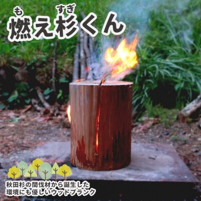 秋田杉のスウェーデントーチ「燃え杉くん(もえすぎくん)」[No.5335-0253]
