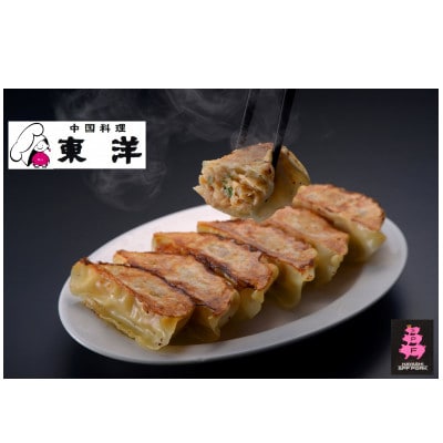 【木更津産(林SPF豚使用)】冷凍絶品餃子(10個×4袋)