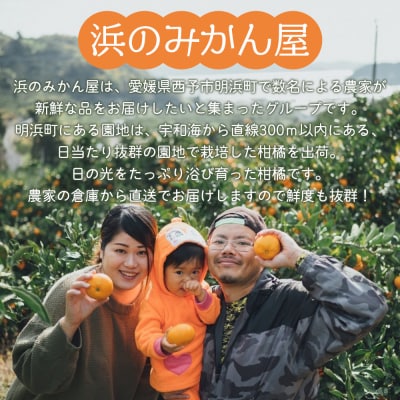 明浜産 浜のみかん屋直送 温州みかん 訳あり(5kg)
