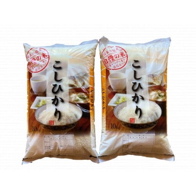 【令和4年産】宮代産米コシヒカリ「村そだち」20kg(10kg×2)