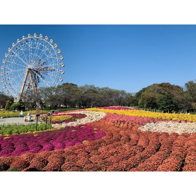 東武動物公園「入場券」(1人分)