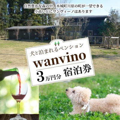 犬と泊まれるペンション「ワンヴィーノ」3万円分宿泊券