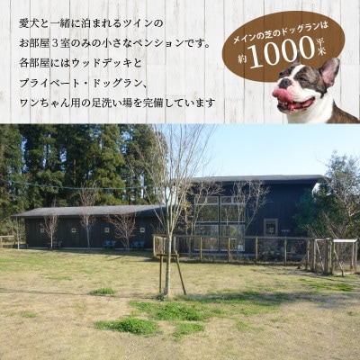 犬と泊まれるペンション「ワンヴィーノ」3,000円分宿泊券