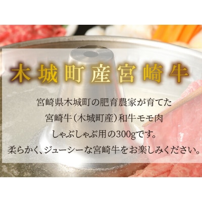 宮崎牛　和牛モモ肉　しゃぶしゃぶ　300g