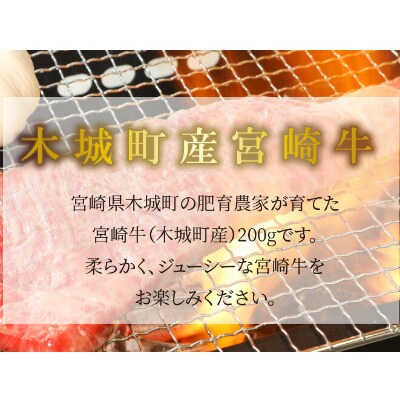 宮崎牛　ロース焼肉用　200g