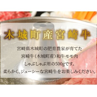 宮崎牛　和牛モモ肉　しゃぶしゃぶ　500g