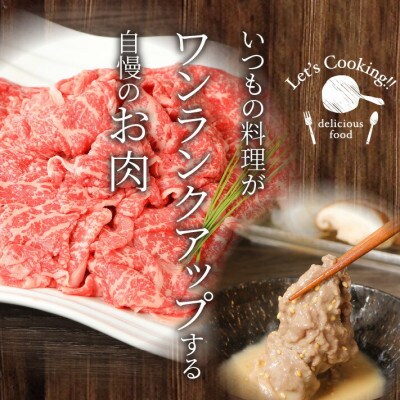 宮崎牛　和牛モモ肉　しゃぶしゃぶ　500g