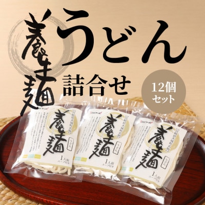 養生麺うどん詰合せ 12袋入り