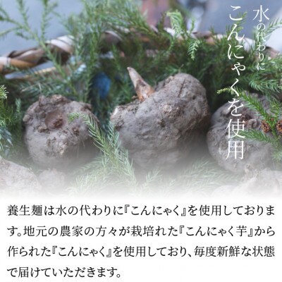 養生麺うどん詰合せ 12袋入り