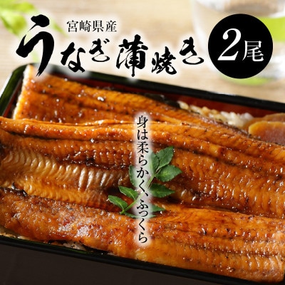 宮崎県産うなぎ(蒲焼き)2尾セット | ふるさと納税のお礼品