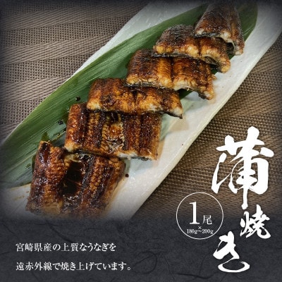 宮崎県産うなぎ(白焼き 蒲焼き)2尾セット