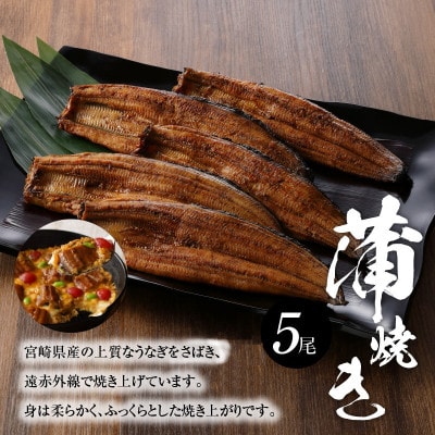 宮崎県産うなぎ(蒲焼き)5尾セット