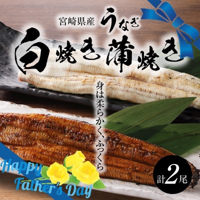 【父の日ギフト】宮崎県産 うなぎ 白焼き 蒲焼き 2尾セット