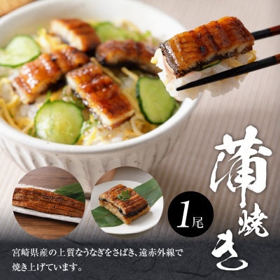 【父の日ギフト】宮崎県産 うなぎ 白焼き 蒲焼き 2尾セット