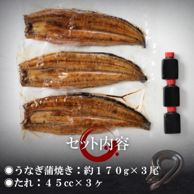 【父の日ギフト】宮崎県産 うなぎ蒲焼き 3尾セット