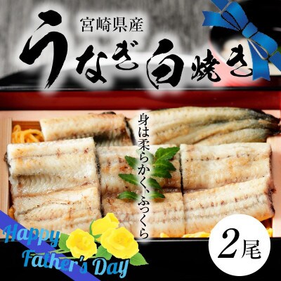 【父の日ギフト】宮崎県産 うなぎ 白焼き2尾セット