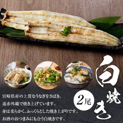 【父の日ギフト】宮崎県産 うなぎ 白焼き2尾セット