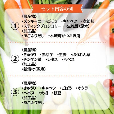 木城町産農産物と加工品セット
