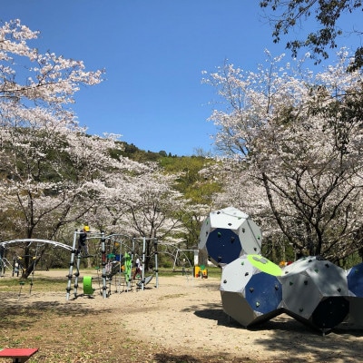 川原自然公園　コテージ1泊2日宿泊券