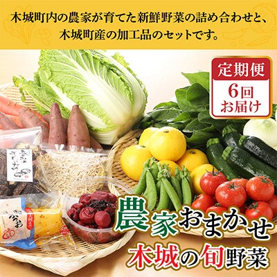 【毎月定期便】農家おまかせ木城の旬野菜 全6回