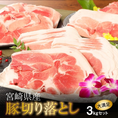 【訳あり】宮崎県産豚切落し3kg(500g×6パック)　 K16_0052_4