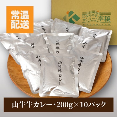 「山牛」のオリジナルカレー10パックセット  K16_0012_1