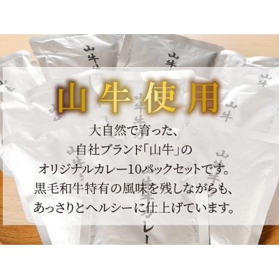 「山牛」のオリジナルカレー10パックセット  K16_0012_1