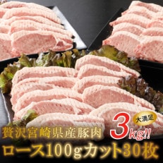 贅沢宮崎県産豚肉ロース100gカット30枚