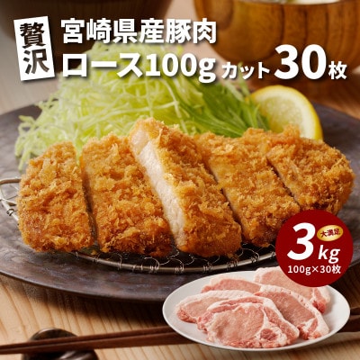 贅沢宮崎県産豚肉ロース　3kg(100gカット30枚) K16_0018_2