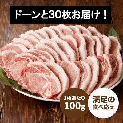 贅沢宮崎県産豚肉ロース　3kg(100gカット30枚) K16_0018_2