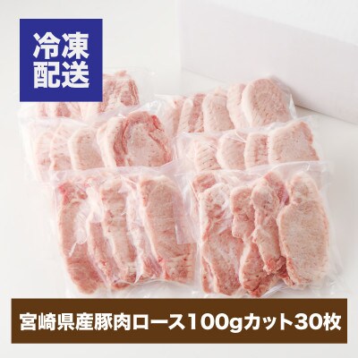 贅沢宮崎県産豚肉ロース　3kg(100gカット30枚) K16_0018_2