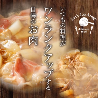【訳あり】宮崎県産豚切落し4kg(500g×8パック) 　K16_0054_4