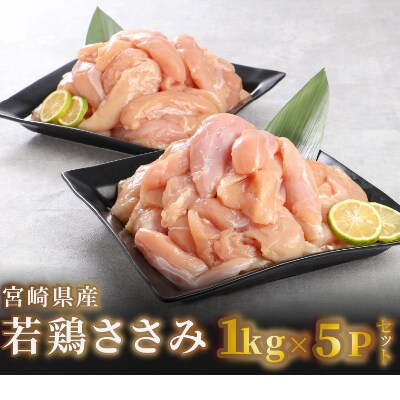宮崎県産若鶏ささみ　5kg(1kg×5)　 K16_0045_2