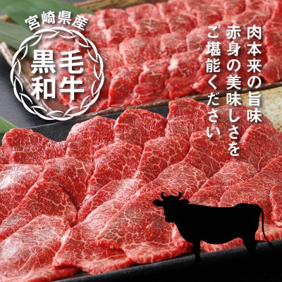 宮崎県産黒毛和牛 赤身焼肉用800gと焼肉のたれセット　K16_0008_1