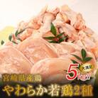 宮崎県産鶏 やわらか若鶏2種5kg