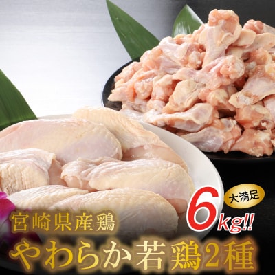 宮崎県産鶏 やわらか若鶏2種6kg