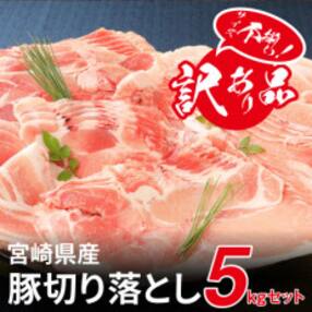 【訳あり】宮崎県産豚切落し5kg(500g×10パック)