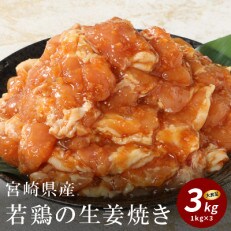 宮崎県産若鶏の生姜焼き3kg(1kg×3)
