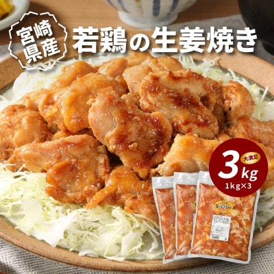 宮崎県産若鶏の生姜焼き3kg(1kg×3)