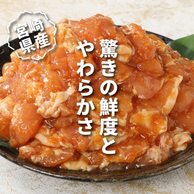 宮崎県産若鶏の生姜焼き3kg(1kg×3)